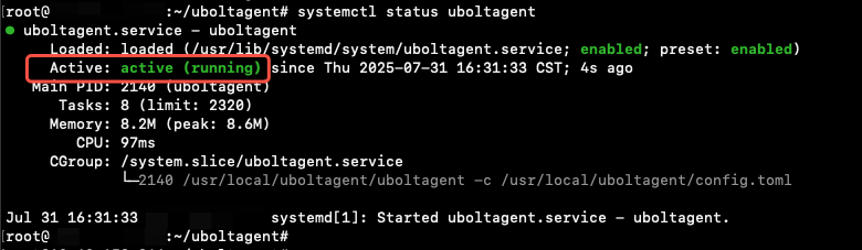 check service status